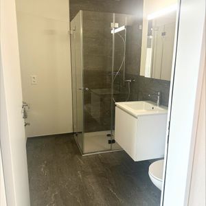 Wohnraum in Weggis mit Ausblick: 2.5 Zimmerwohnung im 3. OG - Photo 2