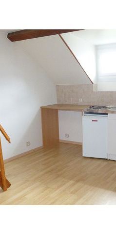 Location Appartement 1 pièce 21m² REIMS 51100 - Photo 1