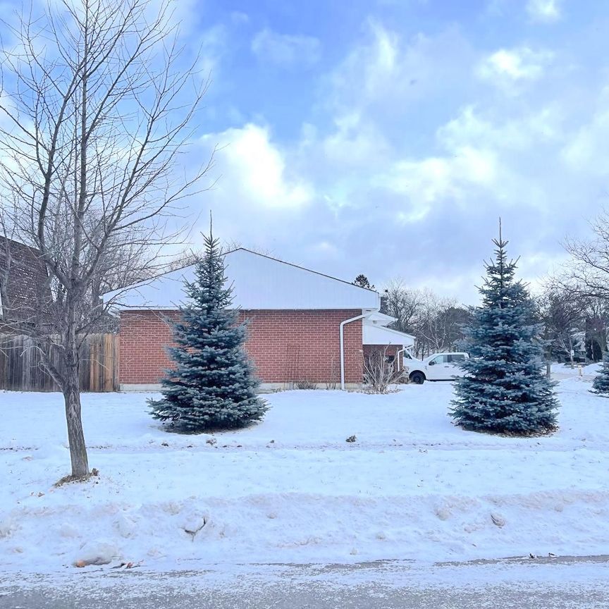 For Lease - 365 Mississauga Vly Boulevard Unit# Lower, Mississauga, Ontario - Photo 1