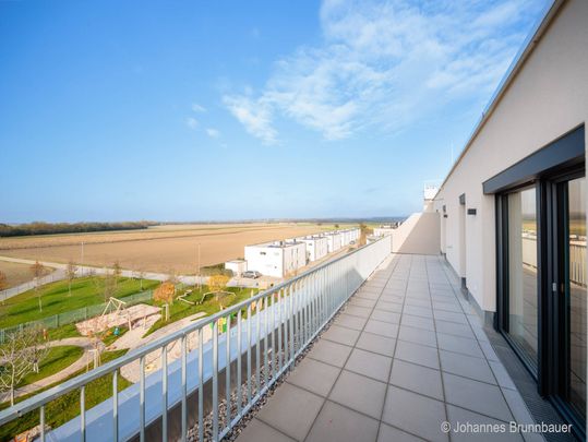 2-Zimmer Dachgeschosswohnung mit toller Terrasse - Foto 1