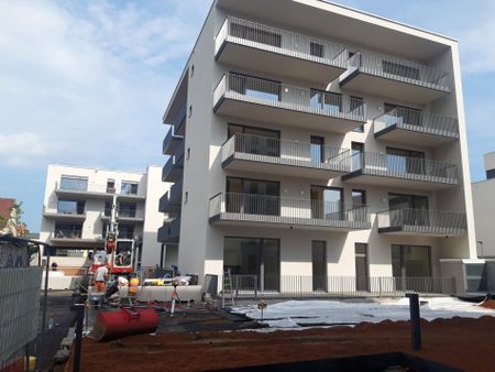 Neubau-Kleinwohnung mit ca. 53 m² + 16,50 m² Terrasse - Foto 2