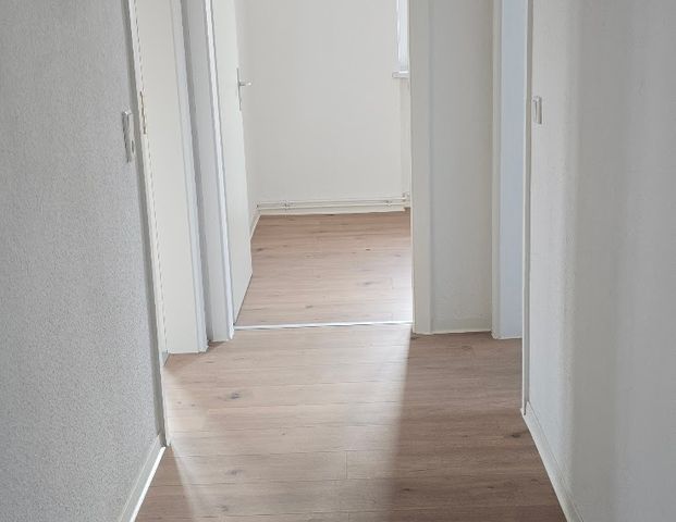 die erste Miete geschenkt für eine 3 Zimmerwohnung in der Waldstraße - Foto 1