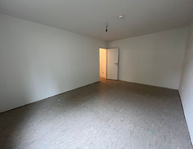 3,5 Raum im Erdgeschoss ! - Photo 1