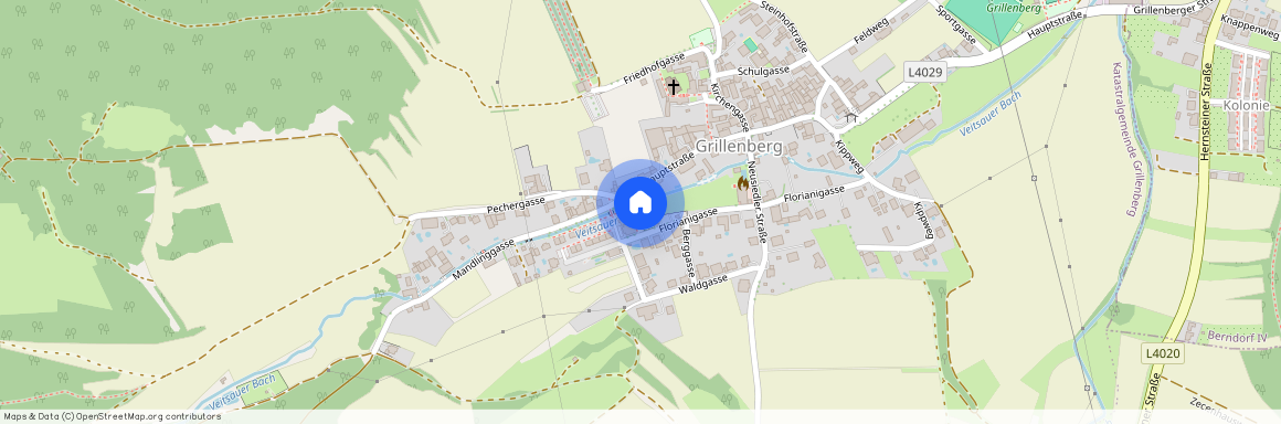 2561 Grillenberg, Florianigasse 26