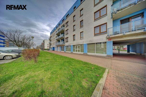 Pronájem bytu 1+1 v družstevním vlastnictví 34 m², Poděbrady - Photo 1