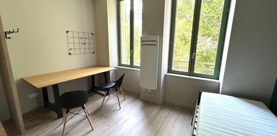 Location Appartement 1 pièce 17m² ST ETIENNE 42100 - Photo 2
