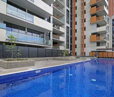 Modern, Spacious & Light Filled Apartment! - Photo 3