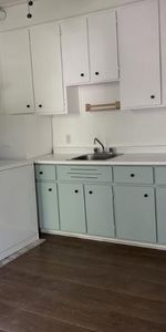 3 1/2 - Montréal (La Petite-Patrie) - 1 275 $/mois - Photo 4