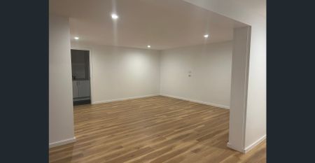 Newly renovated Studio - Photo 3