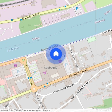 Avenue Roi Albert, 139, d703, 5300, Andenne