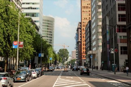 Rosy Wertheimstraat 43, 1082 MZ, Amsterdam - Photo 5