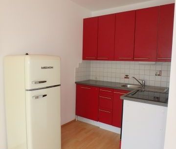 Gemütliche Singlewohnung Nähe Donau Uni mit Gemeinschaftsgarten - Photo 5