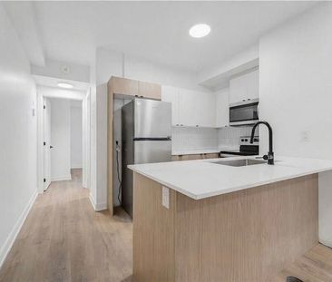 For Lease - 6B MONK Street Unit# 1, Glebe - Ottawa East and Area, O... - Photo 5