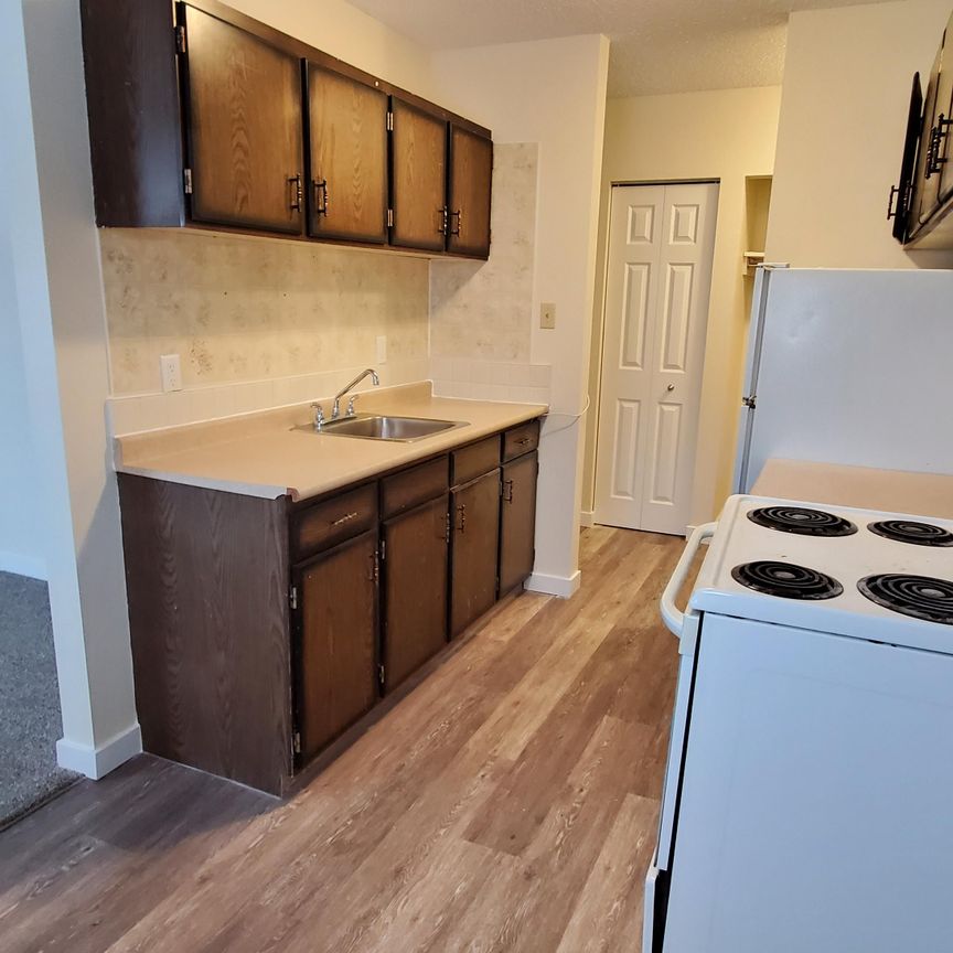 Bright, 3rd Floor 2 Bed Apartment in Quiet, Mature Neighbourhood - Photo 1