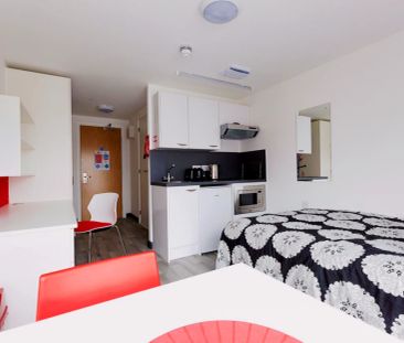 Premium Studio - Photo 5