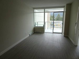 OVER 800 SQFT 1 Bed 1 Bath + Den Apartment in Coquitlam - Photo 1