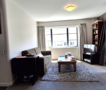 Sunny Thorndon Apartment - Photo 4