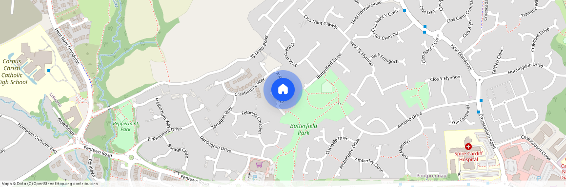 Chamomile Close, Pontprennau, Cardiff, CF23