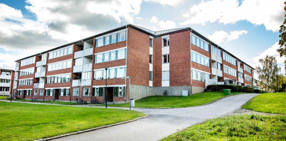 Målgränd 23 - Foto 2