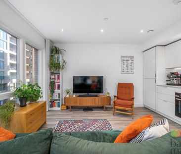 Lismore Boulevard - Photo 4