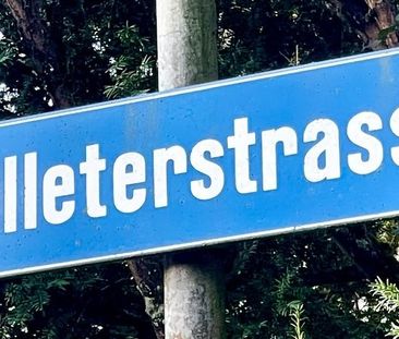 Wohn(t)raum am Zürichberg - 8044 Zürich - Foto 5