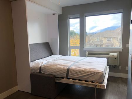 Furnished Studio near Downtown (#442) - Photo 3