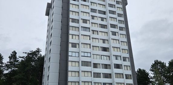 Montecito Towers - Photo 2