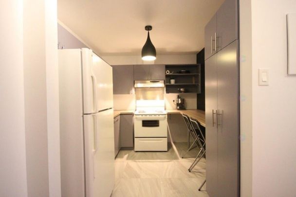 Métro Papineau/Beaudry: studio rénové à louer complètement meublé avec tout d'inclus - Photo 1