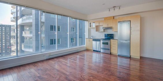 1 chambre - 400, Sherbrooke Ouest, Montréal - Photo 3