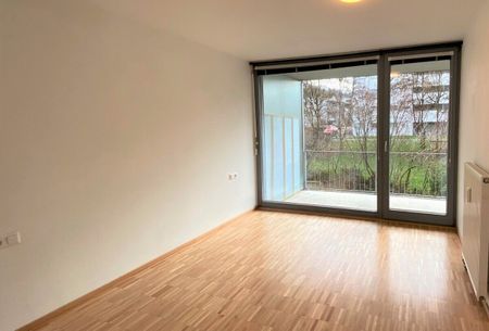 Gemütliche, neu renovierte 2,5 Zimmer-Wohnung in zentrumsnaher Lage mit Terrasse - Photo 2