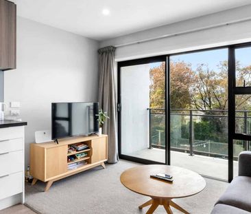 Self-Contained Inner City Apartment - Photo 4