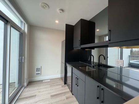 For Lease - 549 FANSHAWE PARK Road Unit# 113, London North, Ontario - Photo 4
