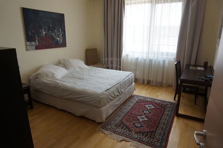 Four Bedroom Penthouse with Terrace - Kiseleff - Fotografie 5