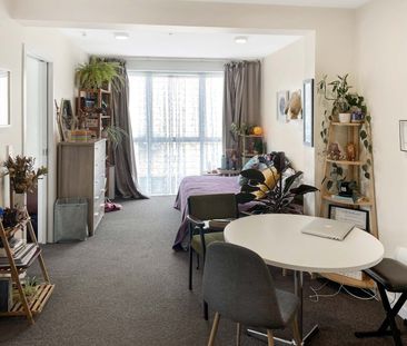 Apartment Living in Aro Valley - Photo 6