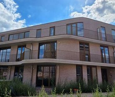Appartement te huur in Puurs voor € 815 met 1 slaapkamer - Foto 6
