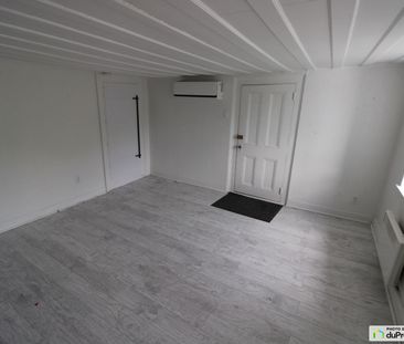 2 1/2-105, rue Sainte-Anne, Saint-Sauveur à louer - Photo 1