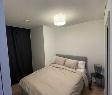 Lodjursstråket, Göteborg - Foto 3