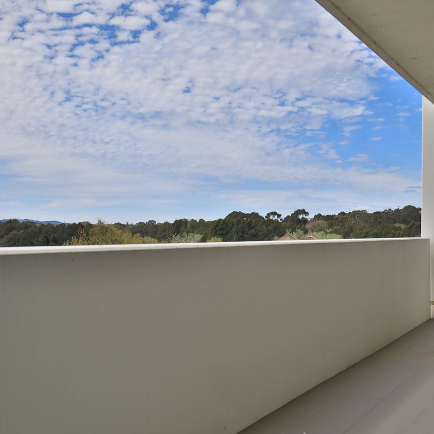 11/35 Chandler Street, Belconnen ACT 2617 - Apartment For Rent - $600 | Domain - Photo 1