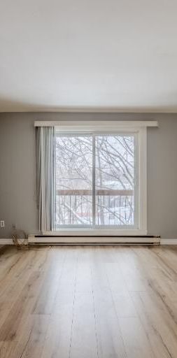 Loft à louer Limoilou novembre 2025 - Photo 1