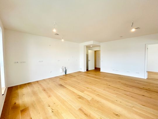 EXKLUSIV Wohnen über den Dächern Mannheims - Photo 1