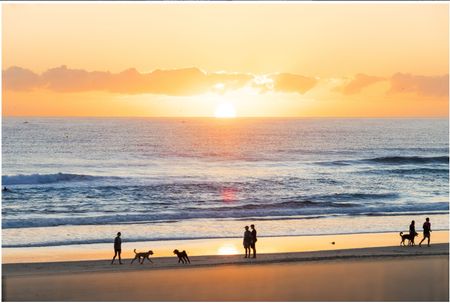 5/2 Surf Street, Mermaid Beach QLD 4218 - Apartment For Rent | Domain - Photo 4