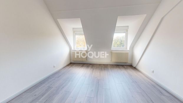 LOCATION d'un appartement de F2 bis (44 m²) à MULHOUSE - Photo 1