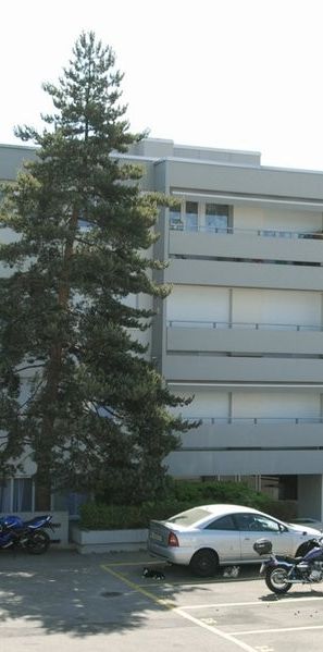 Joli appartement avec terrasse-jardin dans le quartier de Chailly - Photo 2