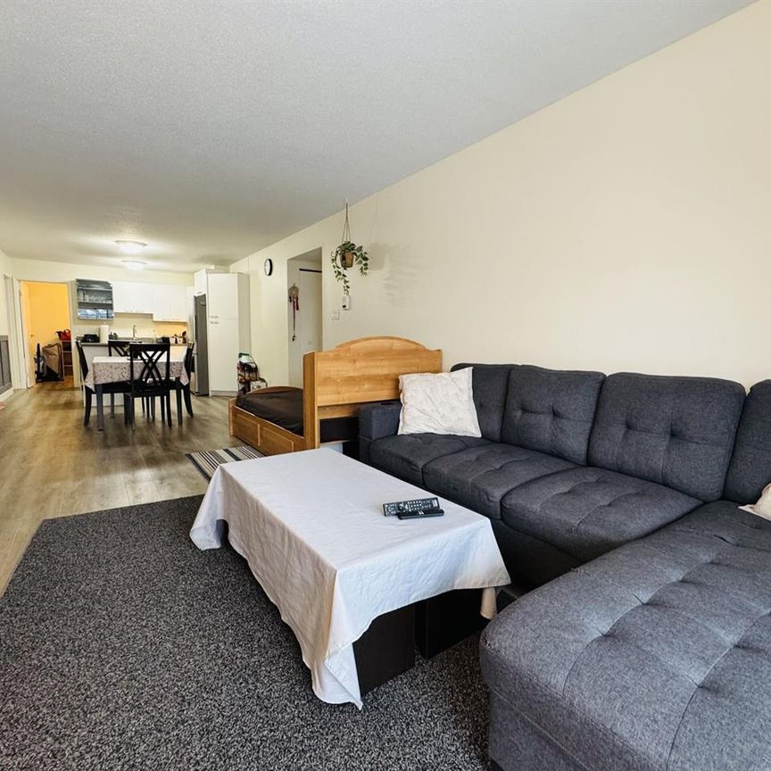 Antoine-du Verdier Appartement 4 ½ à Louer Sainte-Foy / Sillery Juillet 2026 - Photo 1