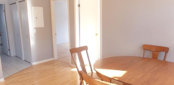 Beau 4 1/2 près de U de Sherbrooke- libre - Photo 2