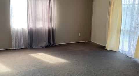3 BEDROOMS- WAIPUKURAU - Photo 1