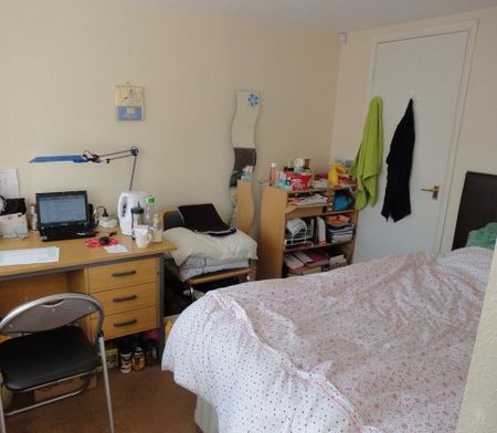 6 Bed - Metchley Drive, Harborne - Photo 3