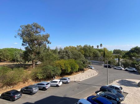 Lisboa, Lisbon - Photo 4