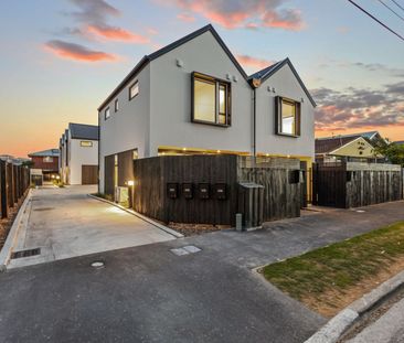 358 Hereford Street, Linwood - Photo 6