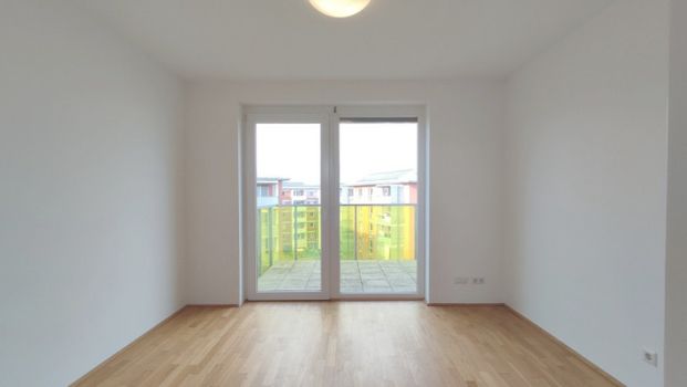 Mitten in Linz und doch so grün - schön & praktisch Wohnen - Photo 1